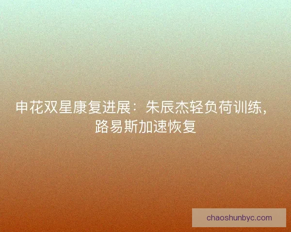 申花双星康复进展：朱辰杰轻负荷训练，路易斯加速恢复