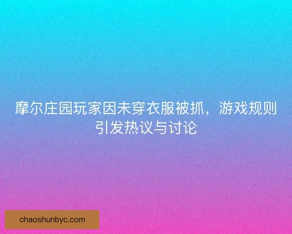 摩尔庄园玩家因未穿衣服被抓，游戏规则引发热议与讨论
