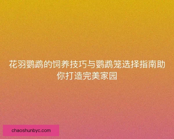 花羽鹦鹉的饲养技巧与鹦鹉笼选择指南助你打造完美家园