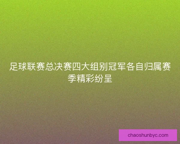 足球联赛总决赛四大组别冠军各自归属赛季精彩纷呈