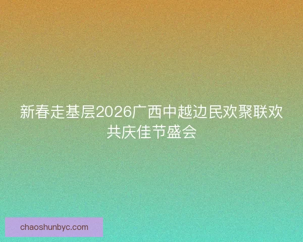 新春走基层2026广西中越边民欢聚联欢共庆佳节盛会
