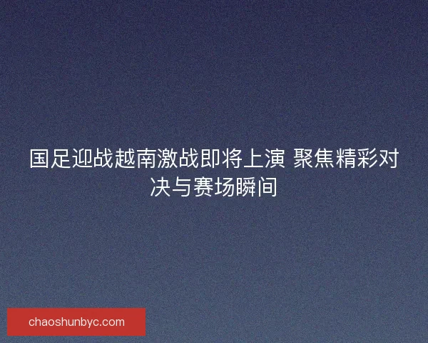 国足迎战越南激战即将上演 聚焦精彩对决与赛场瞬间